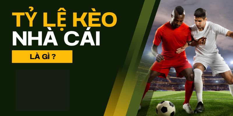 Khái niệm về tỷ lệ kèo nhà cái anh em cần nắm?
