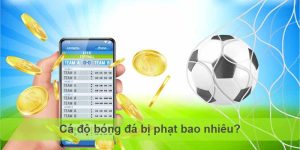 Cá Độ Bóng Đá Bị Phạt Bao Nhiêu? Mức Phạt Cá Độ