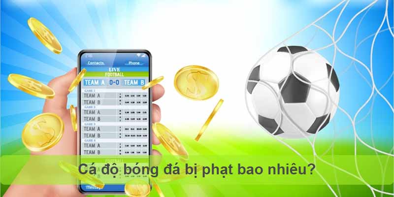 Cá độ bóng đá bị phạt bao nhiêu?