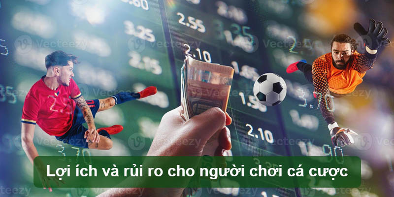 Lợi ích và rủi ro cho người chơi cá cược